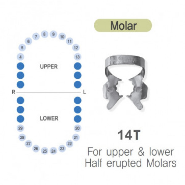 Кламер для молярів K-Clamp №14t, 1 шт. (278891)