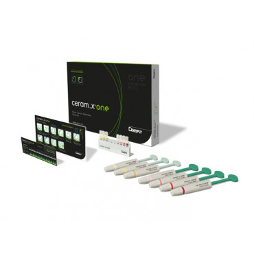 Ceram X ONE DENTIN & ENAMEL SYR STARTER KIT, Dentsply